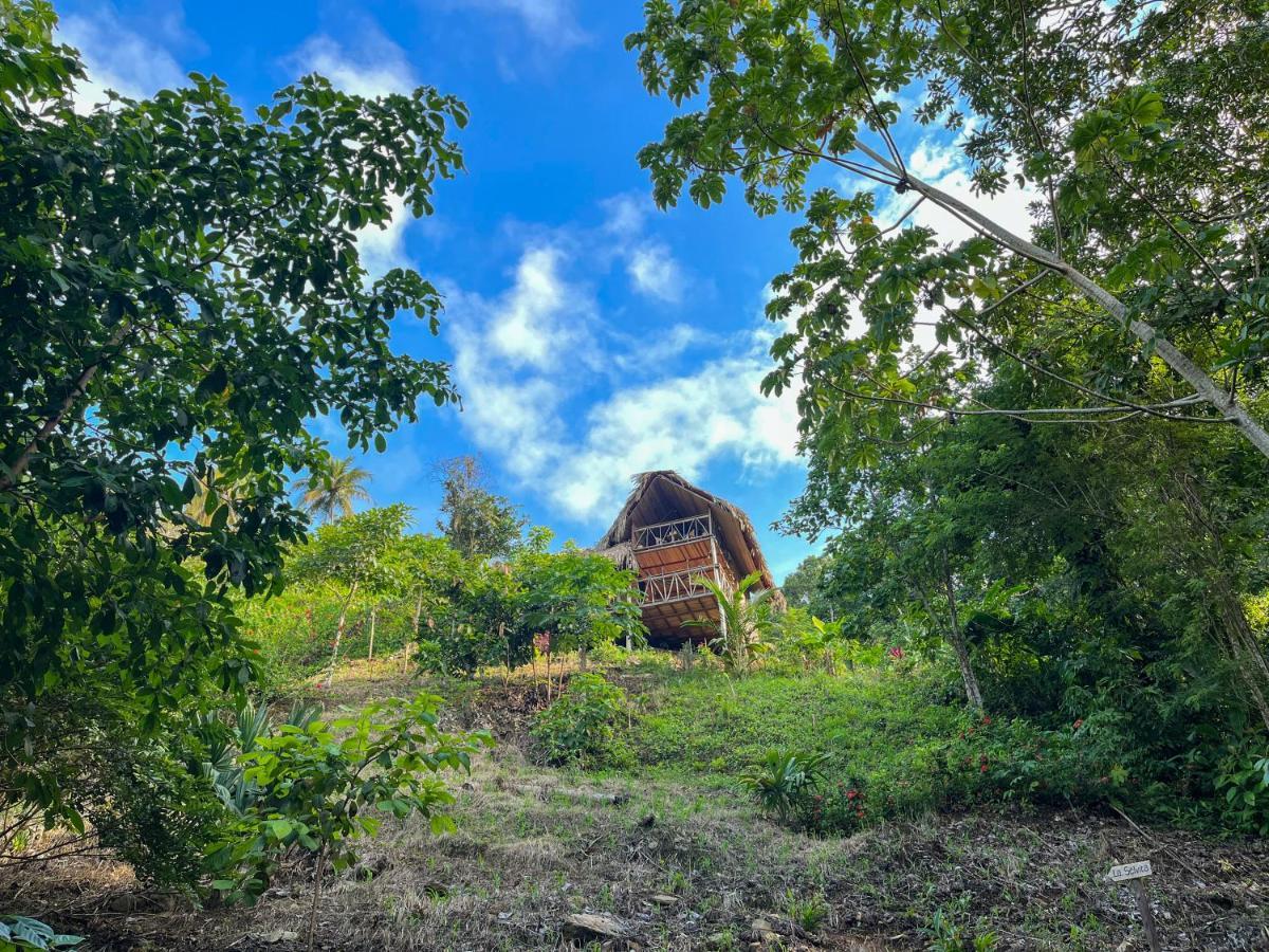 Finca La Selvita Chocolate Experience Buritaca Exteriör bild