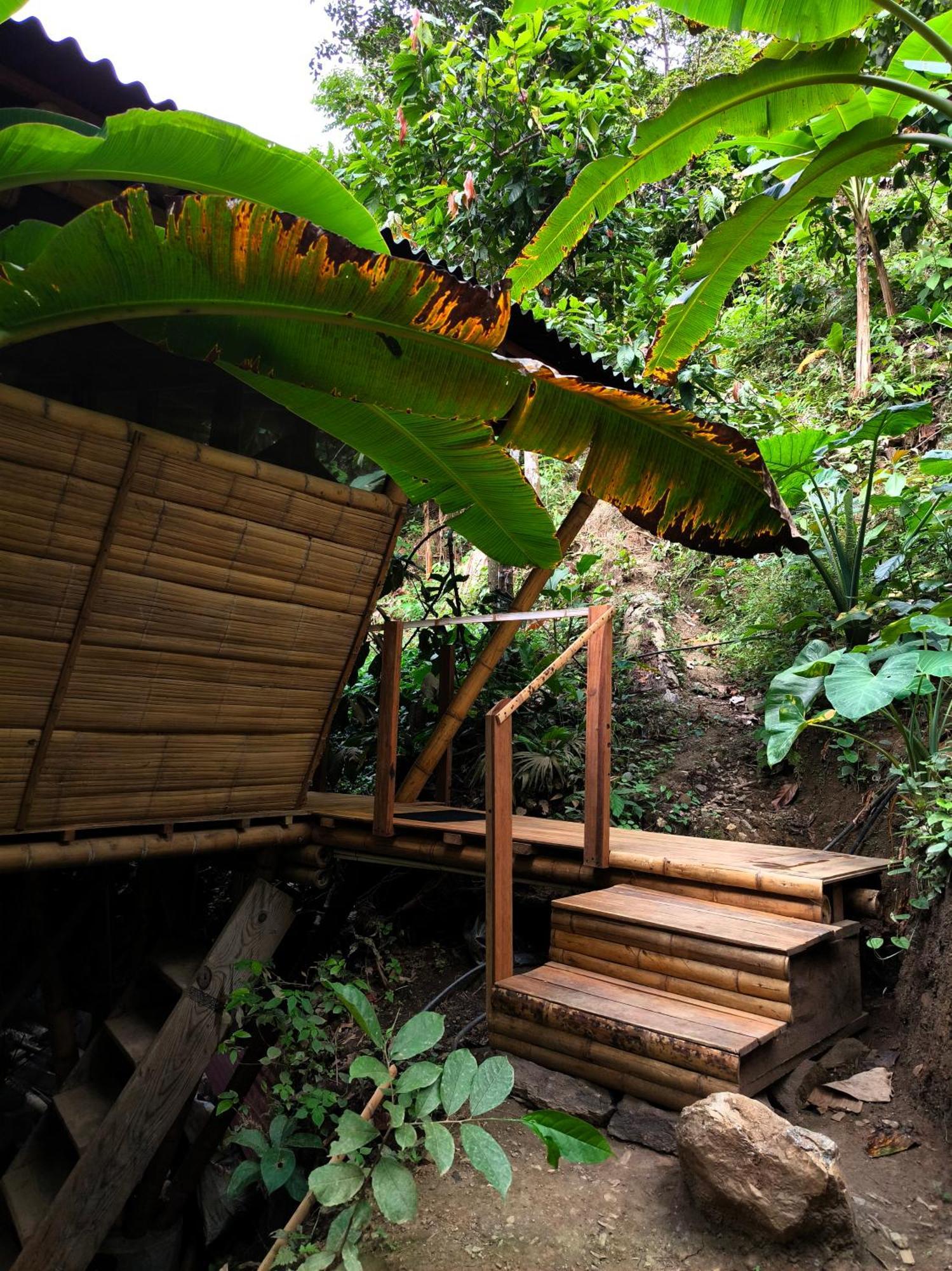 Finca La Selvita Chocolate Experience Buritaca Exteriör bild