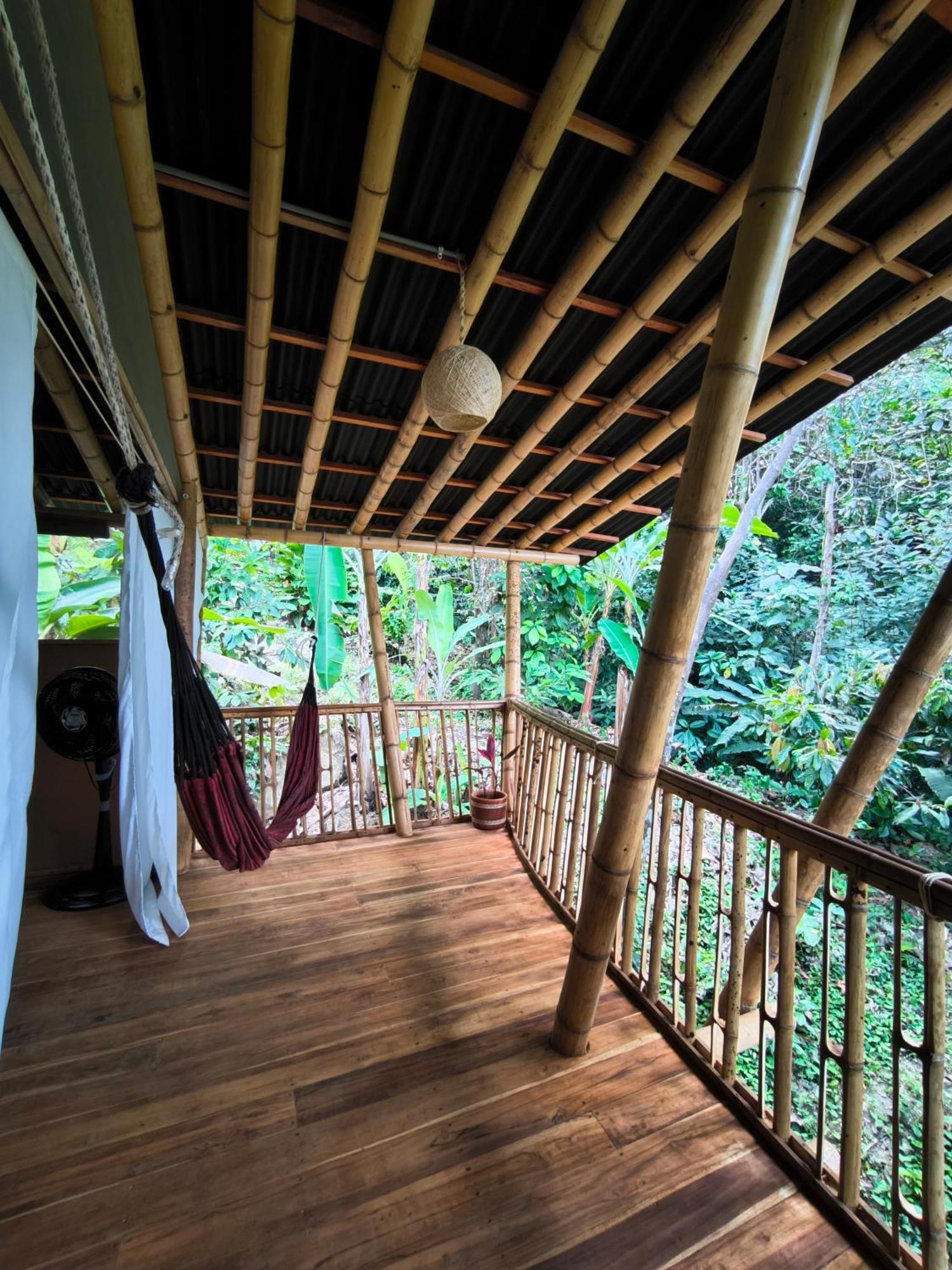 Finca La Selvita Chocolate Experience Buritaca Rum bild
